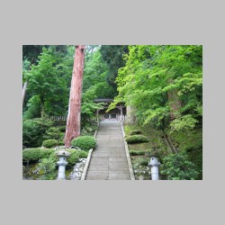 18 prosta droga.html